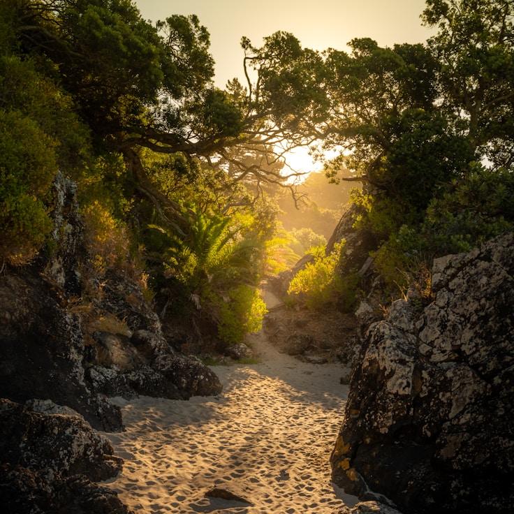 Overview of protected areas